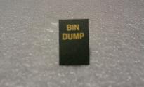 BIN DUMP INSERT